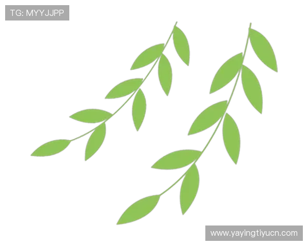 乐鱼国际首页积极响应国家政策推动绿色健康娱乐环境建设 乐鱼国际首页积极响应国家政策推动绿色健康娱乐环境建设