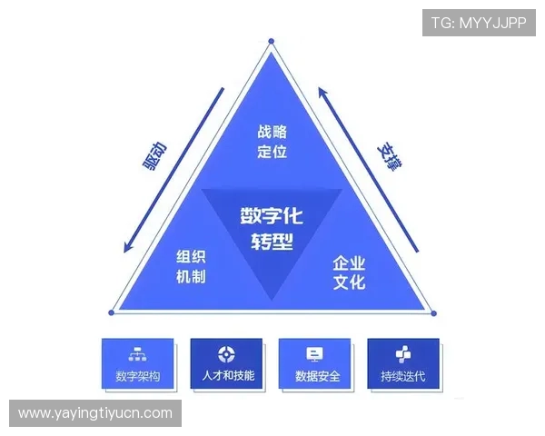 海星体育国际站推动体育赛事数字化转型提升国际影响力的关键力量